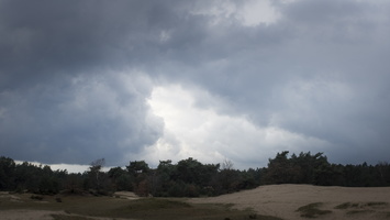 171125-Kootwijkerzand-154