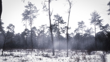 20171209-KoshVervWand-113