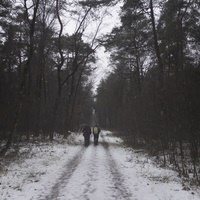 20171209-KoshVervWand-117