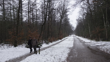 20171209-KoshVervWand-122