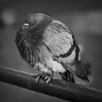 20171216-Amsterdam-201