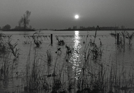 20180114-Amsterdam-Leica-M4-50mm-Tmax400-126