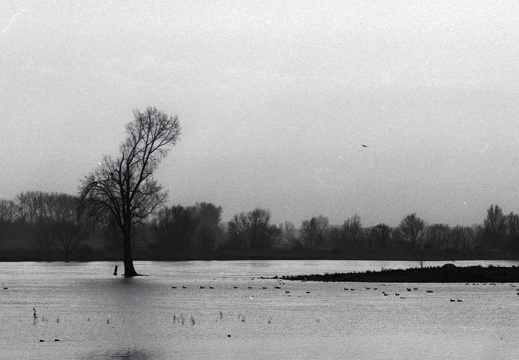 20180114-Amsterdam-Leica-M6-135mm-Tmax400-108