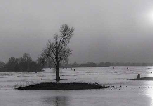 20180114-Amsterdam-Leica-M6-135mm-Tmax400-111