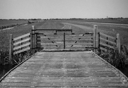 20180708-Nikon-FA-20mm-FP4-Rondevenen-301-bewerkt
