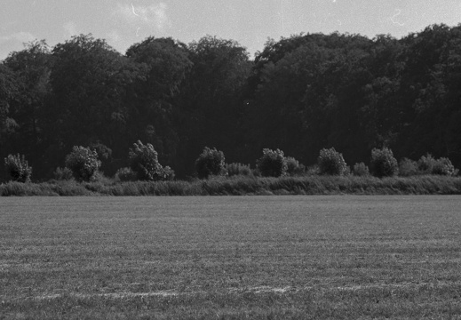 20180717-Mamiya-PanF-StichtseVecht-100