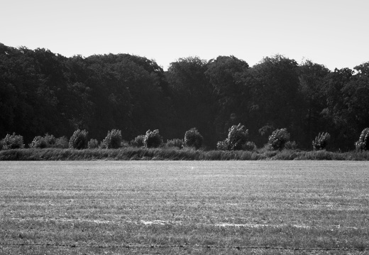 20180717-Mamiya-PanF-StichtseVecht-101