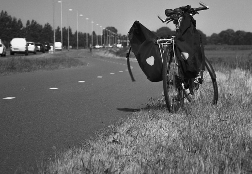 20180717-Mamiya-PanF-StichtseVecht-105