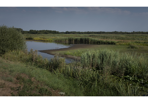 20180802-X100F-Droogte-105