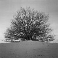 20180121-Kootwijkerzand-C220--104