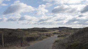 20180204-Kennemerduinen-100