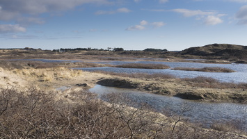 20180204-Kennemerduinen-105