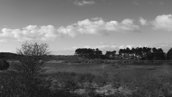 20180204-Kennemerduinen-124