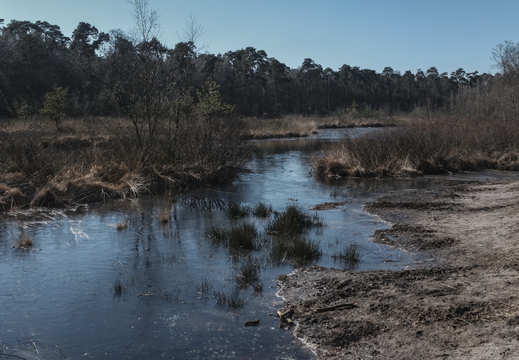 20180225-Oirschot-101