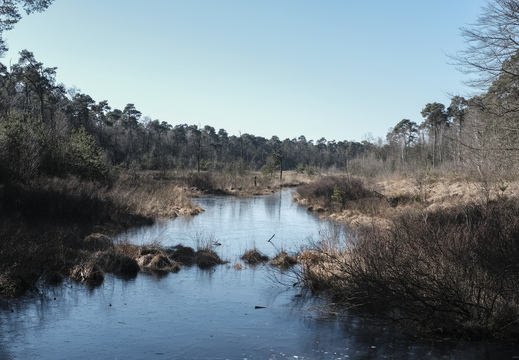 20180225-Oirschot-102