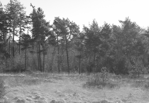 20180225-Oirschot-103