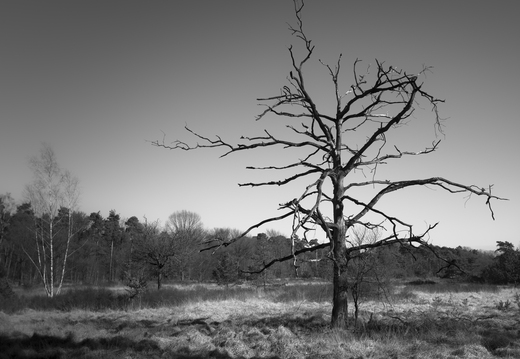 20180225-Oirschot-105