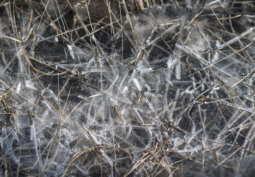 20180225-Oirschot-106