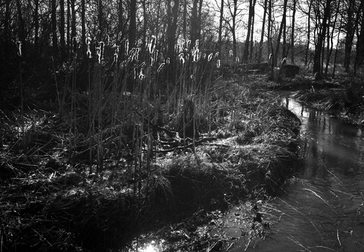 20180225-Oirschot-109