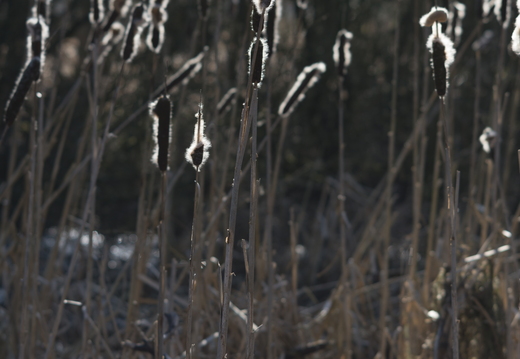 20180225-Oirschot-112