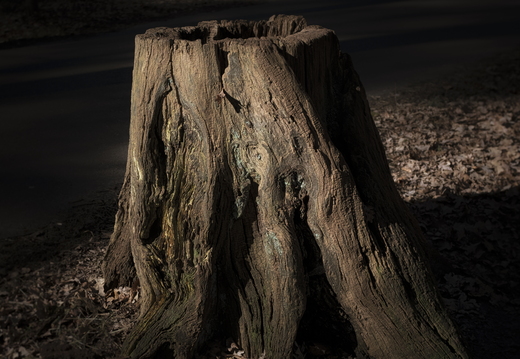 20180225-Oirschot-113