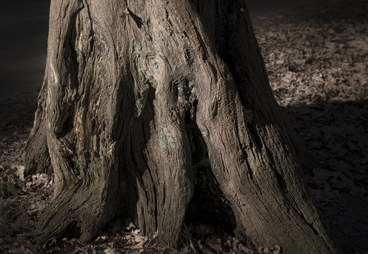 20180225-Oirschot-114