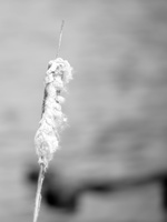 180401-Vecht-101
