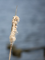 180401-Vecht-102