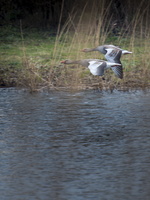 180401-Vecht-105