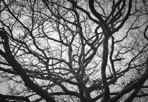 180407-Twello-142-01