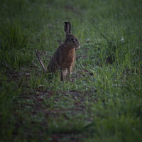 180420-Ochtend-112