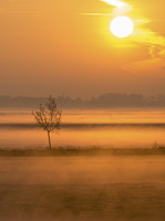 180420-Ochtend-125