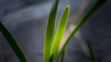 180422-Voorjaar-114