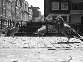 20180526-Amsterdam-117