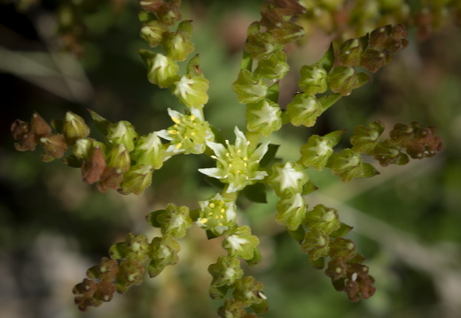 20180516-Castellane-103