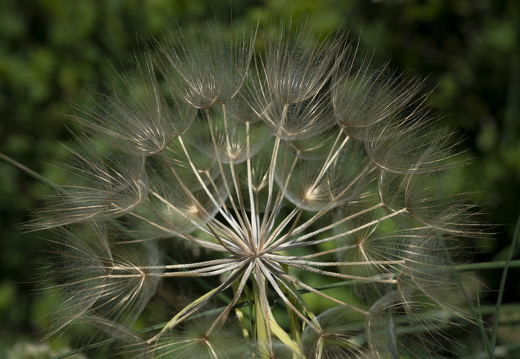 20180516-Castellane-105