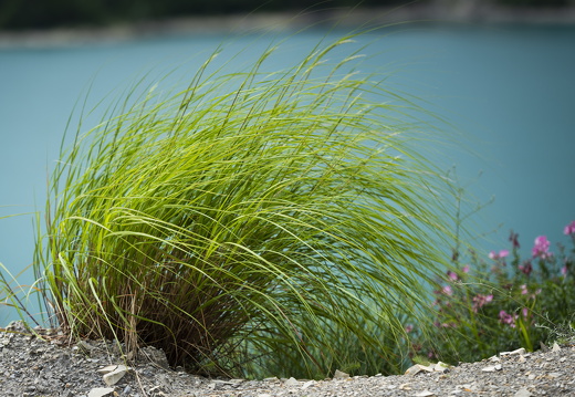 20180516-Castellane-137