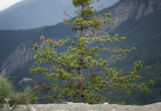 20180516-Castellane-143