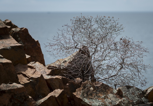 20180613-Corniche-122
