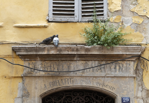 20180613-Grasse-129