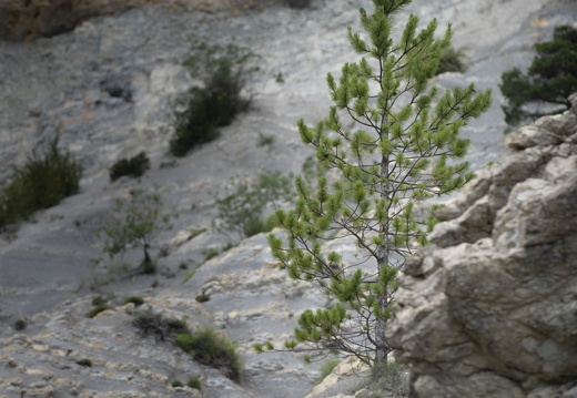 20180619-Gorges-115