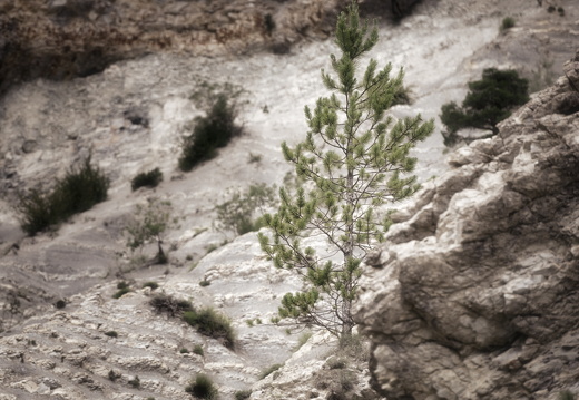 20180619-Gorges-116