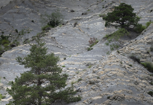 20180619-Gorges-117