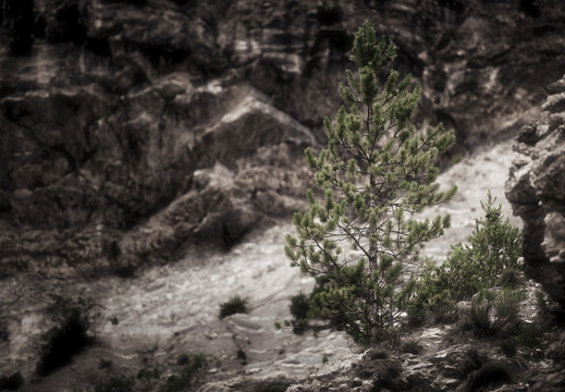 20180619-Gorges-118