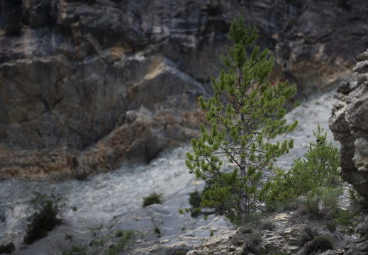 20180619-Gorges-119