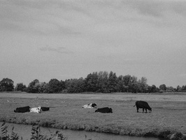20180728-KonicaIII-FP4-RondeVenen-109
