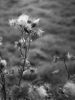 20180730-RondjeLoosdrecht-102