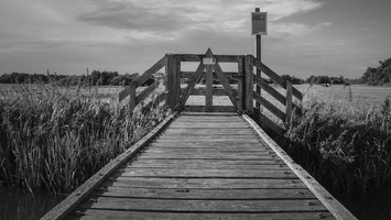 20180730-RondjeLoosdrecht-117