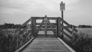 20180731-Pentax-LX-FP4-RondjeFietsen108