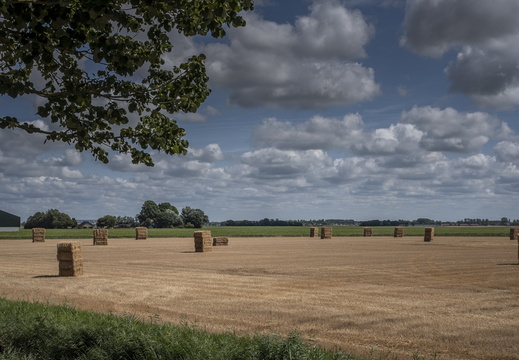 20180805-Friesland-114